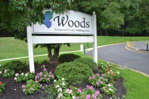 Woods Services
